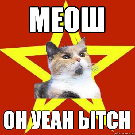 меош он уеан ытсн     Lenin Cat