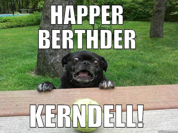 HAPPER BERTHDER KERNDELL! Berks Dog