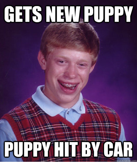 gets new puppy puppy hit by car - gets new puppy puppy hit by car  Bad Luck Brian