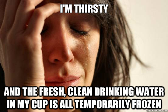 I'm thirsty and the fresh, clean drinking water in my cup is all temporarily frozen  First World Problems