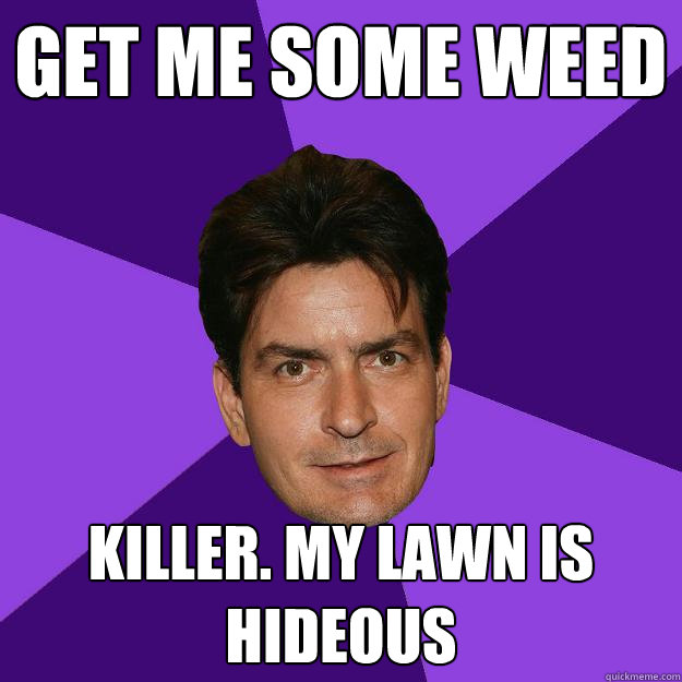 GET ME SOME WEED killer. my lawn is hideous - GET ME SOME WEED killer. my lawn is hideous  Clean Sheen