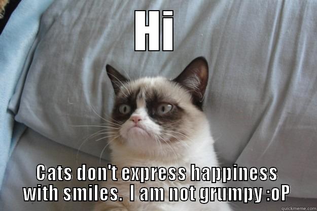 HI CATS DON'T EXPRESS HAPPINESS WITH SMILES.  I AM NOT GRUMPY :OP Grumpy Cat