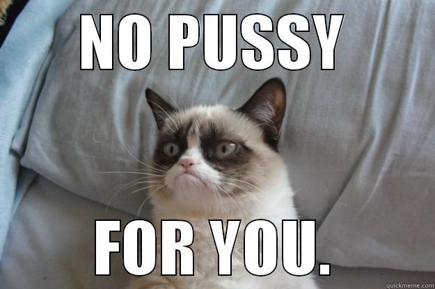 NO PUSSY FOR YOU. Grumpy Cat