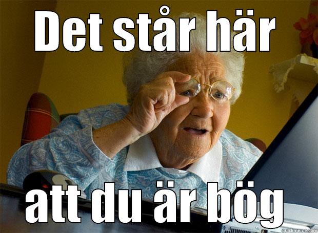 DET STÅR HÄR ATT DU ÄR BÖG Grandma finds the Internet