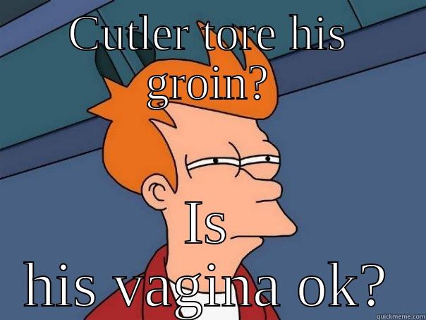 CUTLER TORE HIS GROIN? IS HIS VAGINA OK? Futurama Fry