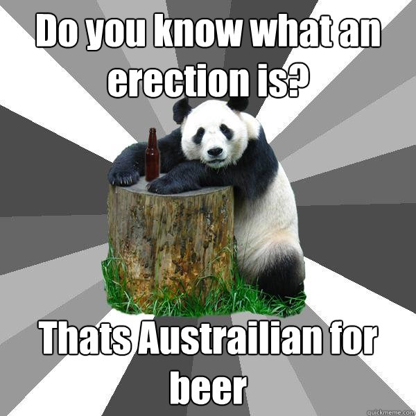 Do you know what an erection is? Thats Austrailian for beer  Pickup-Line Panda