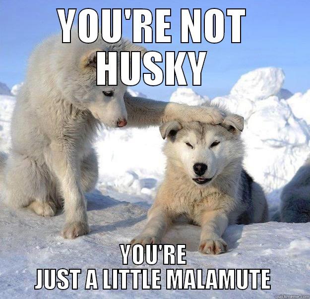 YOU'RE NOT HUSKY YOU'RE JUST A LITTLE MALAMUTE Caring Husky
