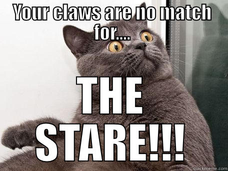 YOUR CLAWS ARE NO MATCH FOR.... THE STARE!!! conspiracy cat