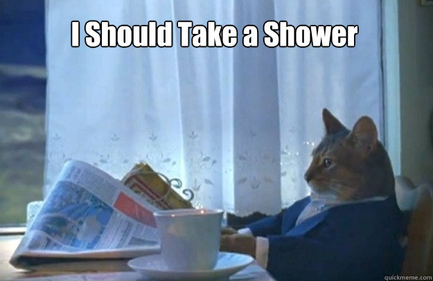 I Should Take a Shower   Sophisticated Cat