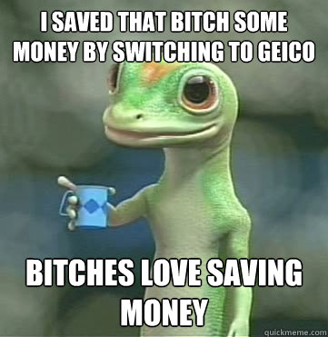 I saved that bitch some money by switching to geico bitches love saving money  