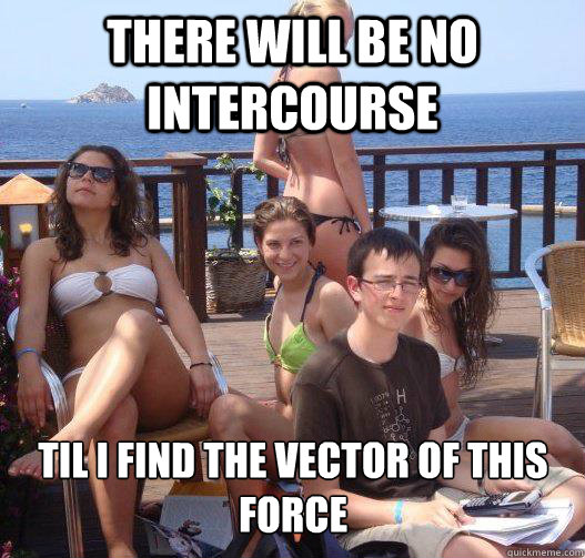 there will be no intercourse til I find the vector of this force  Priority Peter