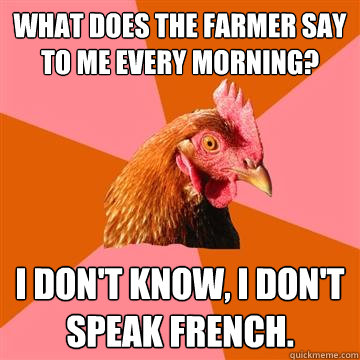 What does the farmer say to me every morning? I don't know, I don't speak french.  Anti-Joke Chicken