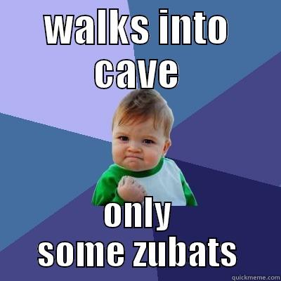 WALKS INTO CAVE ONLY SOME ZUBATS Success Kid