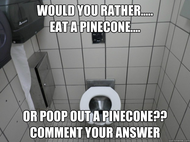 Would You Rather.....
Eat a Pinecone.... Or Poop out A Pinecone??
Comment Your Answer   