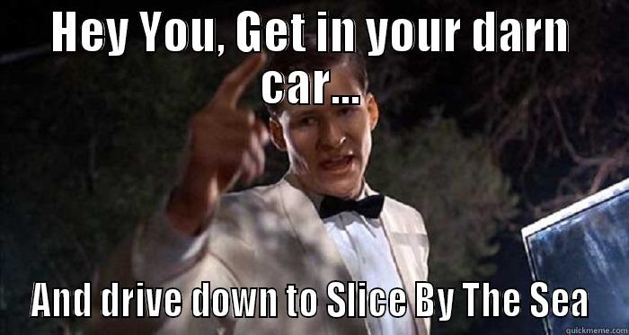 george mcfly - HEY YOU, GET IN YOUR DARN CAR... AND DRIVE DOWN TO SLICE BY THE SEA Misc