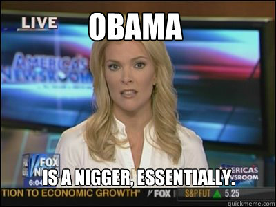 Obama Is a nigger, essentially.  Megyn Kelly