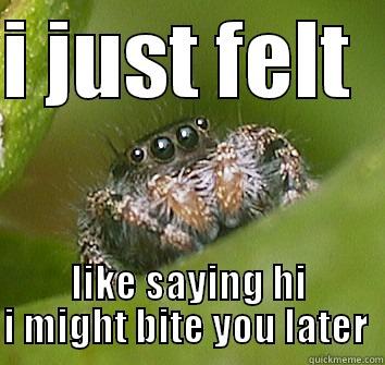 hi spider - I JUST FELT   LIKE SAYING HI I MIGHT BITE YOU LATER  Misunderstood Spider