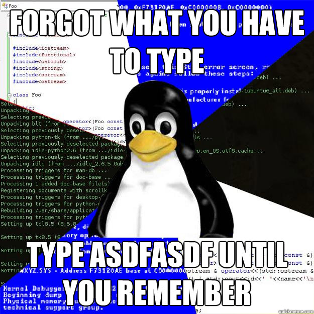 Forgot what you have to type type asdfasdf until you remember  Computer Science Penguin