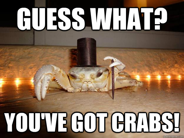 Guess What? You've got crabs!  Fancy Crab