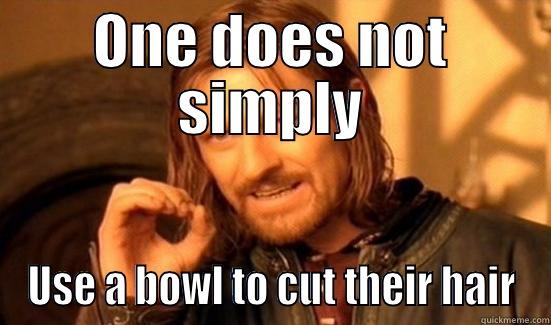 ONE DOES NOT SIMPLY USE A BOWL TO CUT THEIR HAIR Boromir