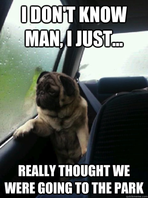 I don't know man, I just... REally thought we were going to the park  Introspective Pug