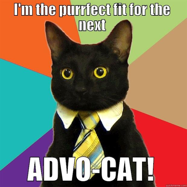 FSHP Advocat - I'M THE PURRFECT FIT FOR THE NEXT ADVO-CAT! Business Cat