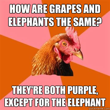 How are grapes and elephants the same? they're both purple, except for the elephant  Anti-Joke Chicken