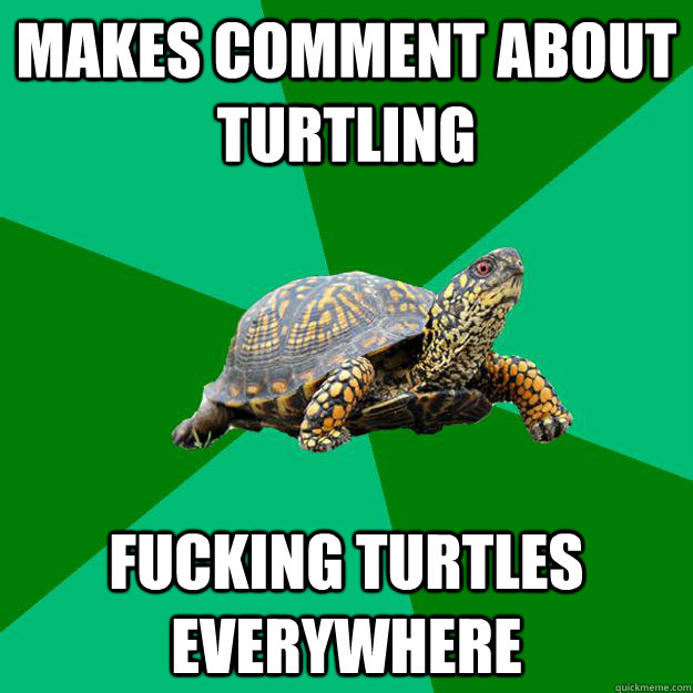 makes comment about turtling FUCKING TURTLES everywhere  Torrenting Turtle
