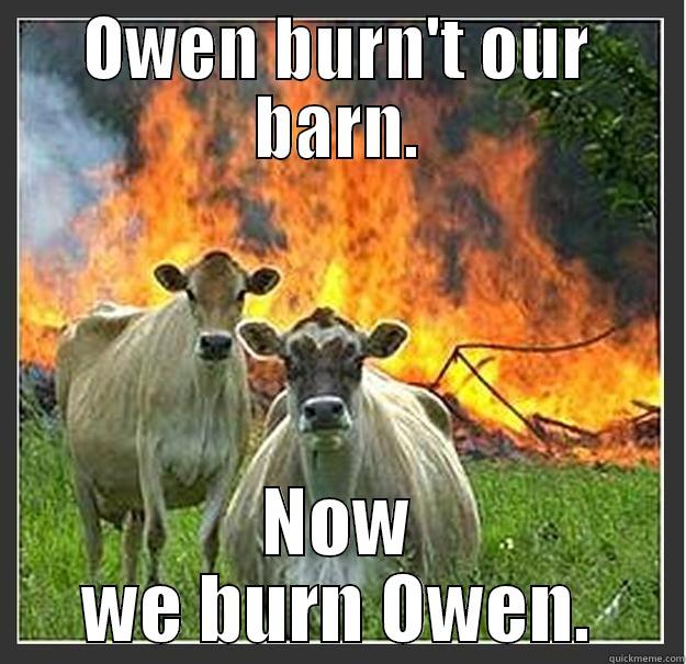 Owen meme - OWEN BURN'T OUR BARN. NOW WE BURN OWEN. Evil cows