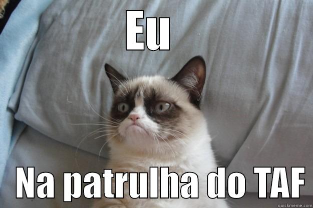 EU     NA PATRULHA DO TAF Grumpy Cat