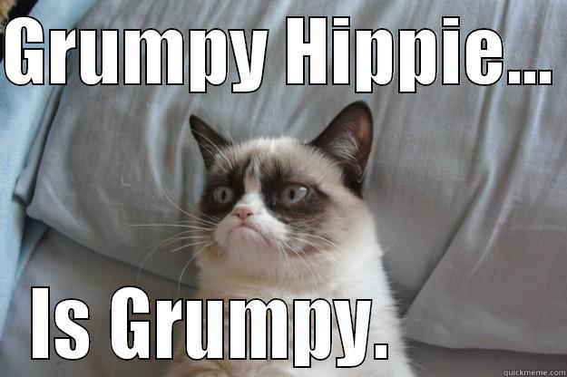 GRUMPY HIPPIE...  IS GRUMPY.          Grumpy Cat