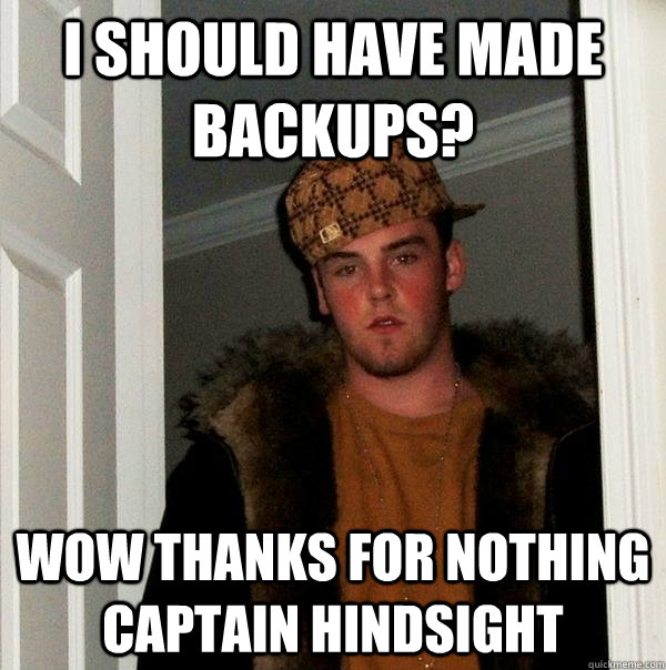 I should have made backups? Wow thanks for nothing Captain Hindsight - I should have made backups? Wow thanks for nothing Captain Hindsight  Scumbag Steve