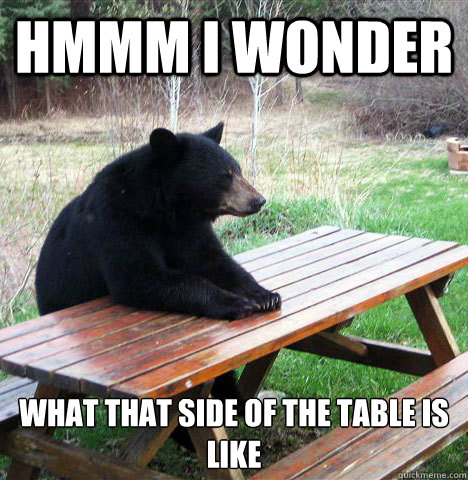 Hmmm i wonder  what that side of the table is like  waiting bear