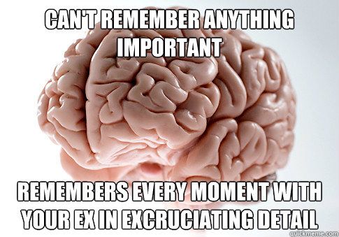 Can't remember anything important Remembers every moment with your ex in excruciating detail  Scumbag Brain