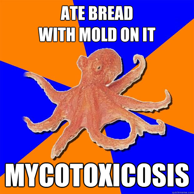 Ate bread 
with mold on it Mycotoxicosis - Ate bread 
with mold on it Mycotoxicosis  Online Diagnosis Octopus