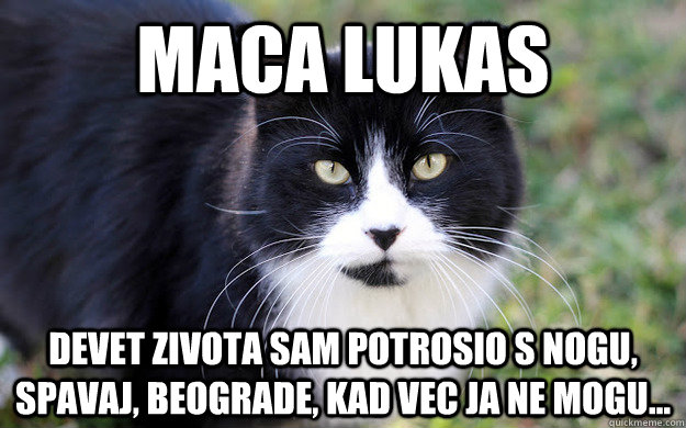 MACA LUKAS Devet zivota sam potrosio s nogu, spavaj, Beograde, kad vec ja ne mogu... - MACA LUKAS Devet zivota sam potrosio s nogu, spavaj, Beograde, kad vec ja ne mogu...  Maca Lukas