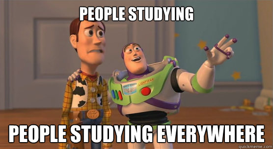 People studying people studying everywhere  Toy Story Everywhere