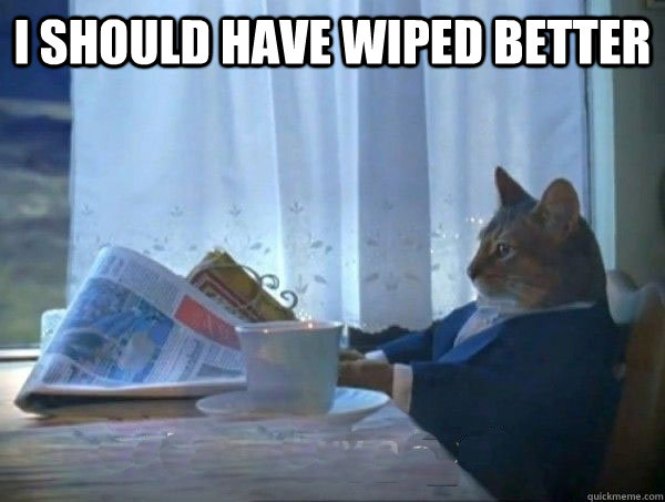 i should have wiped better   morning realization newspaper cat meme