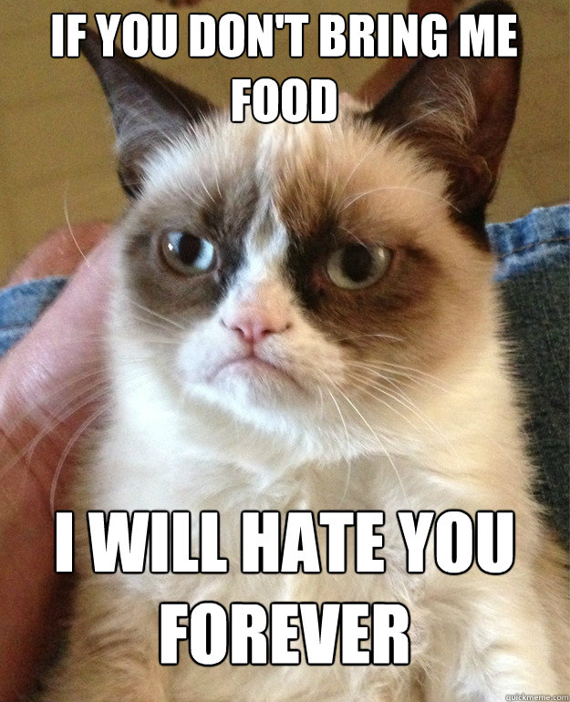 if you don't bring me food i will hate you forever - if you don't bring me food i will hate you forever  Grumpy Cat