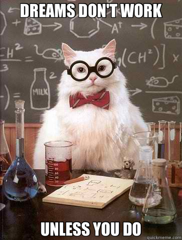 DREAMS DON'T WORK UNLESS YOU DO - DREAMS DON'T WORK UNLESS YOU DO  Chemistry Cat