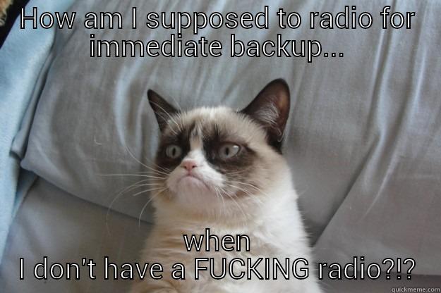 HOW AM I SUPPOSED TO RADIO FOR IMMEDIATE BACKUP... WHEN I DON'T HAVE A FUCKING RADIO?!? Grumpy Cat