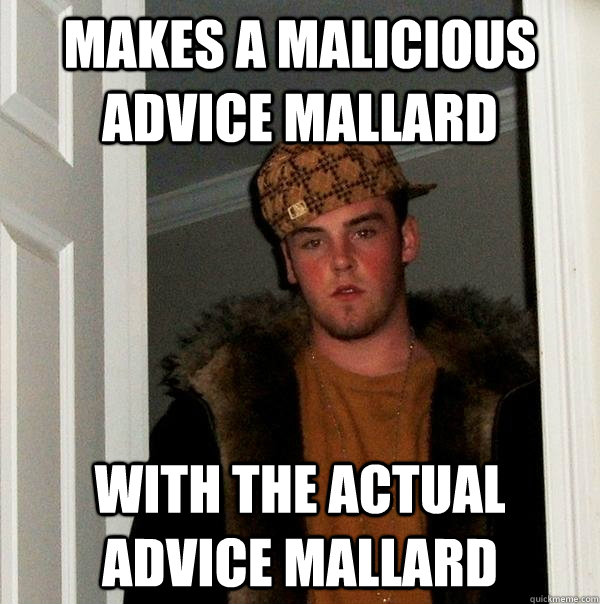 makes a malicious advice mallard With the actual advice mallard - makes a malicious advice mallard With the actual advice mallard  Scumbag Steve