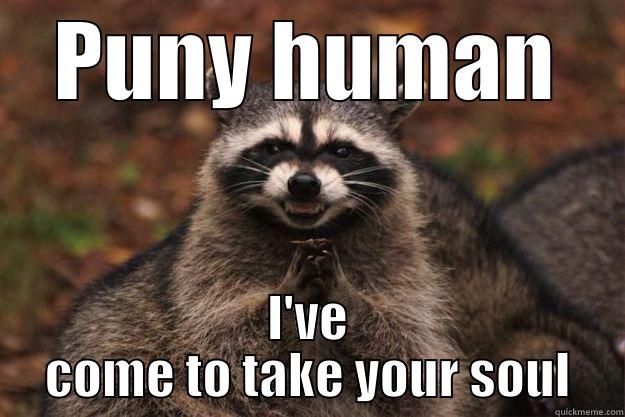 PUNY HUMAN I'VE COME TO TAKE YOUR SOUL Evil Plotting Raccoon