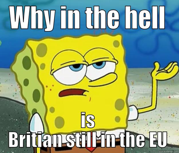 WHY IN THE HELL IS BRITIAN STILL IN THE EU Tough Spongebob