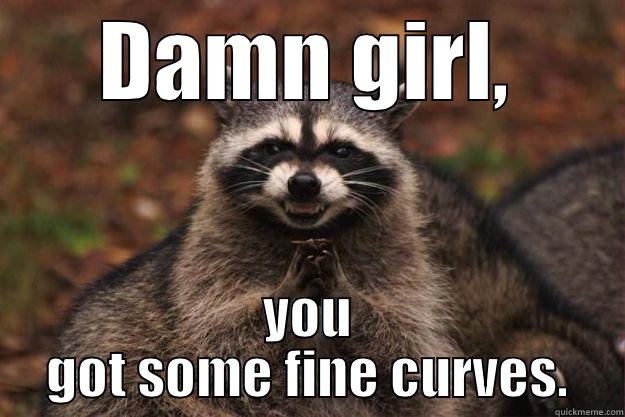 DAMN GIRL, YOU GOT SOME FINE CURVES. Evil Plotting Raccoon