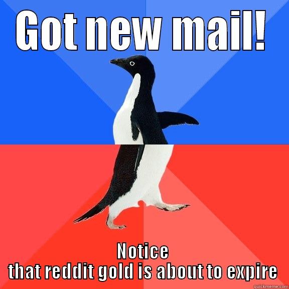 GOT NEW MAIL! NOTICE THAT REDDIT GOLD IS ABOUT TO EXPIRE Socially Awkward Awesome Penguin