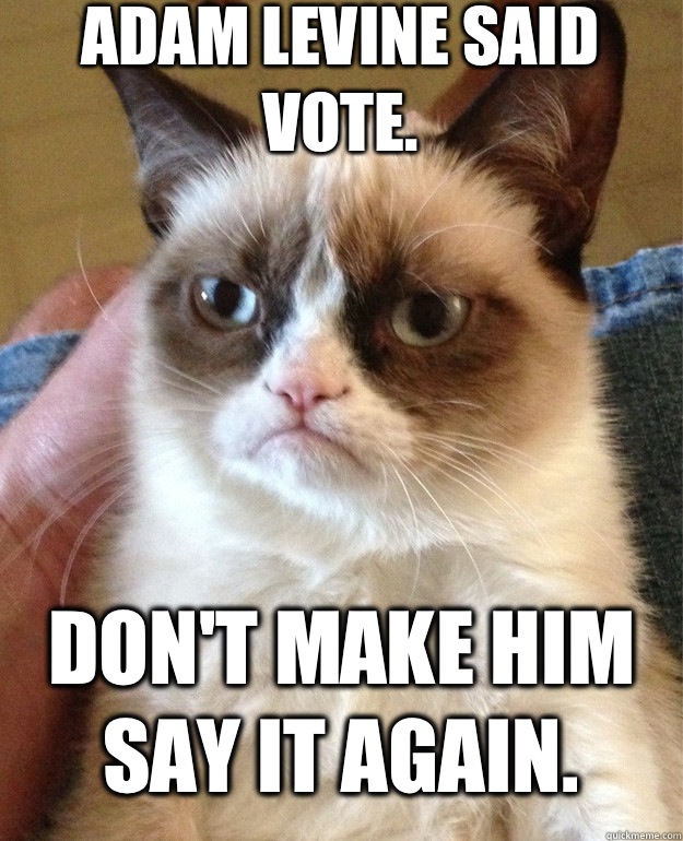 Adam Levine said Vote. Don't make him say it again.  Grumpy Cat