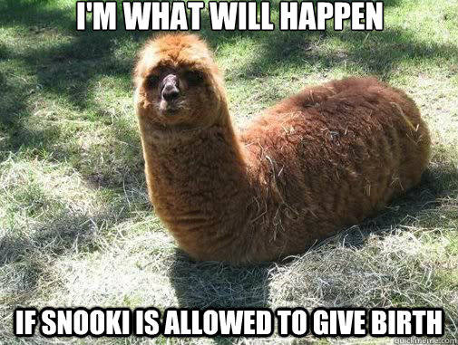 I'm what will happen If snooki is allowed to give birth - I'm what will happen If snooki is allowed to give birth  Alpacapillar