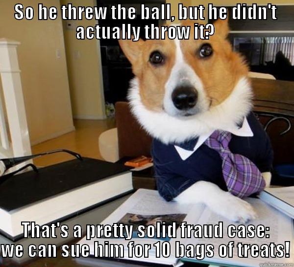 SO HE THREW THE BALL, BUT HE DIDN'T ACTUALLY THROW IT? THAT'S A PRETTY SOLID FRAUD CASE: WE CAN SUE HIM FOR 10 BAGS OF TREATS! Lawyer Dog