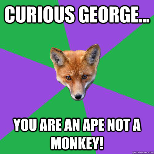 CURIOUS GEORGE... you are an APE not a monkey!  - CURIOUS GEORGE... you are an APE not a monkey!   Anthropology Major Fox